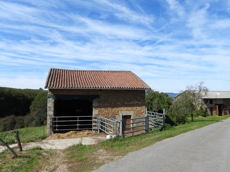 آيفون 15 برو ماكس - متاح