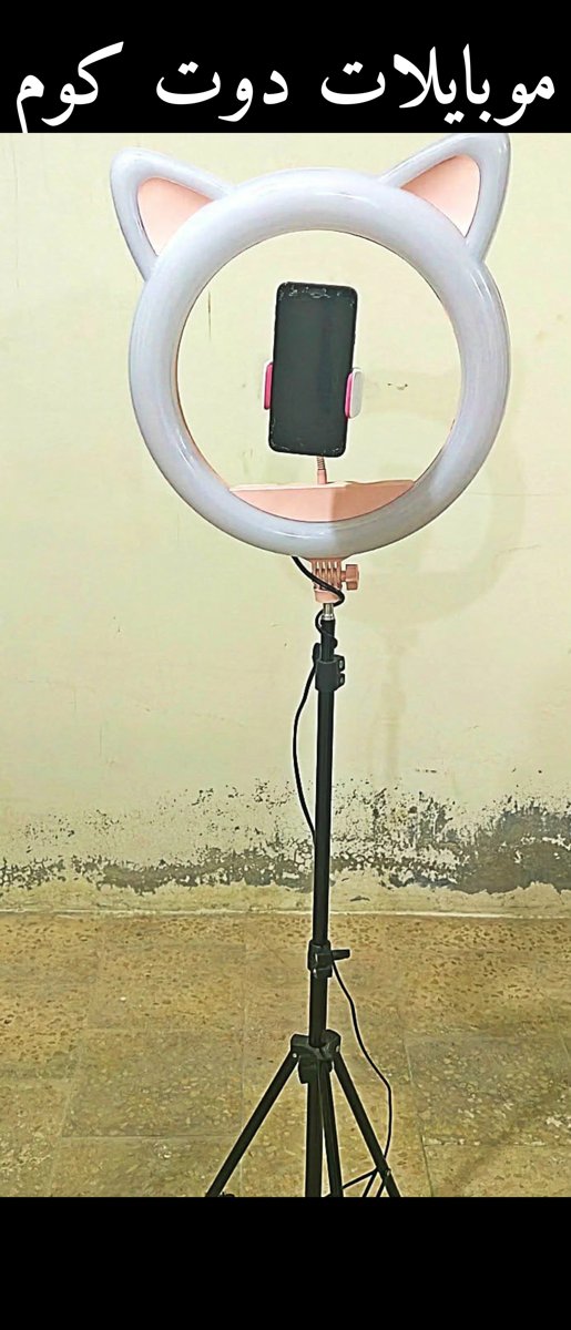 رينق لايت القطة - إضاءة فائقة الجودة