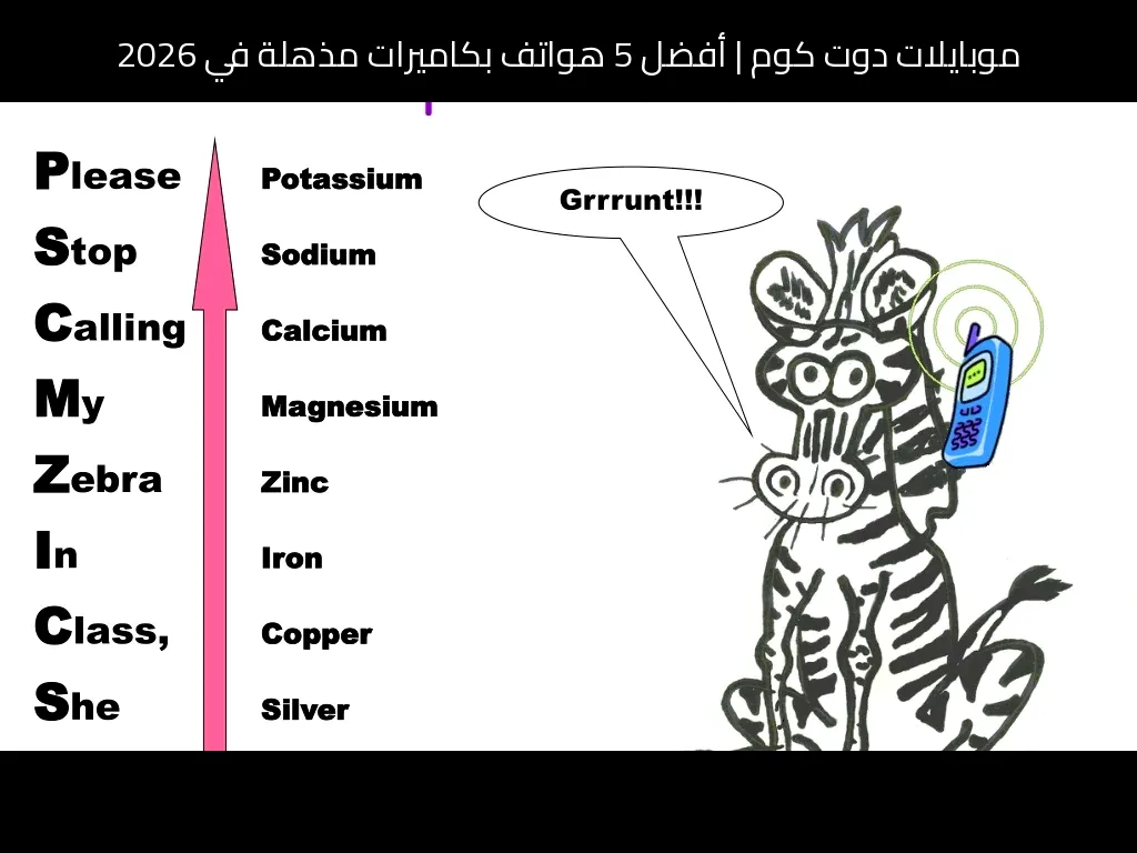 أفضل 5 هواتف بكاميرات مذهلة في 2026