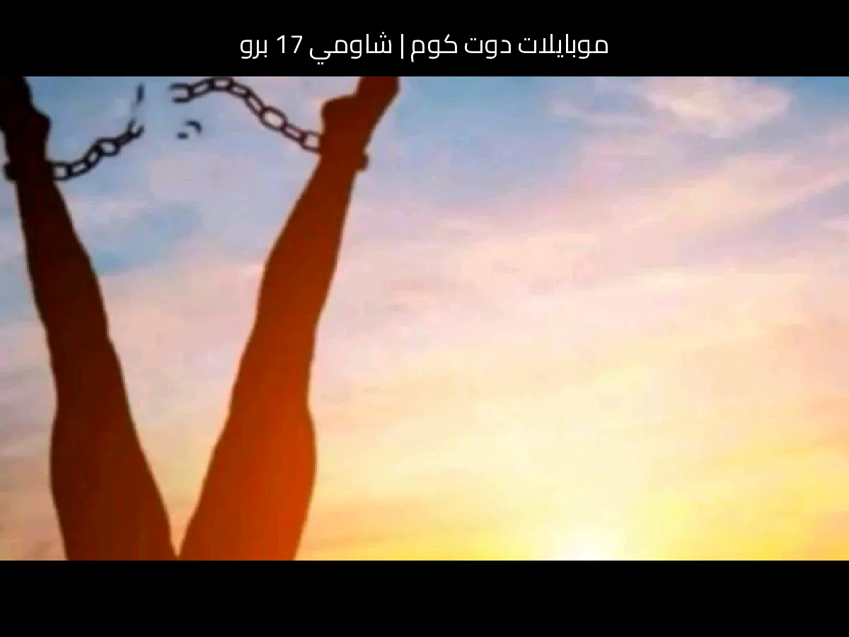 شاومي 17 برو: تسريبات تكشف تطورًا منطقيًا نحو قمة 2026