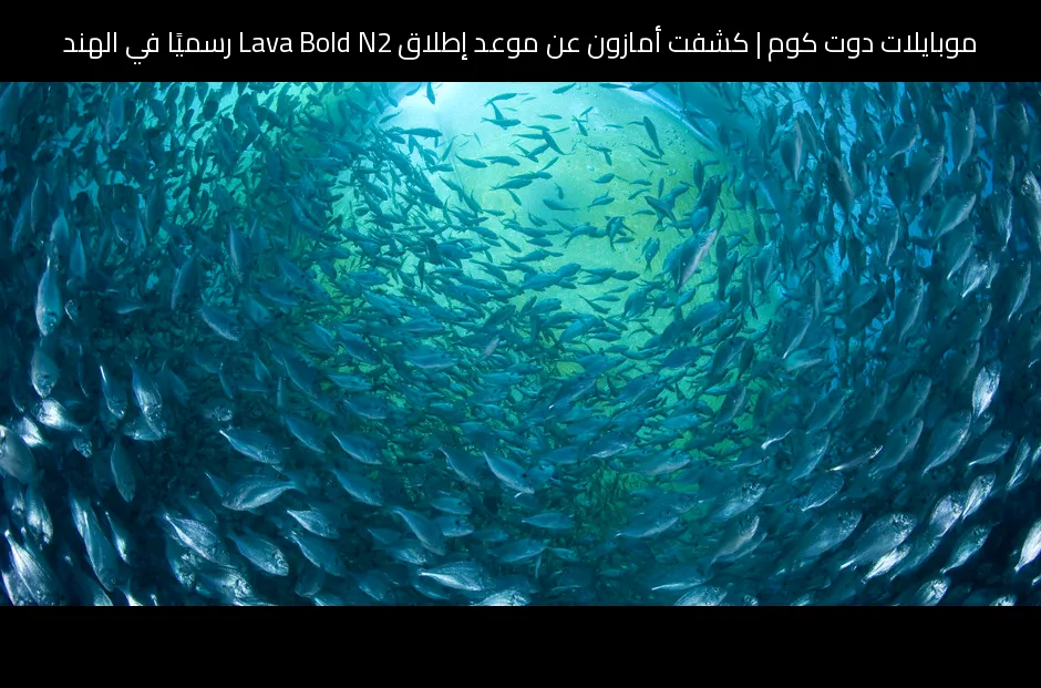 كشفت أمازون عن موعد إطلاق Lava Bold N2 رسميًا في الهند