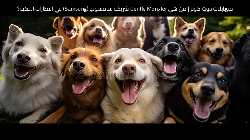 من هي Gentle Monster شريكة سامسونج (Samsung) في النظارات الذكية؟