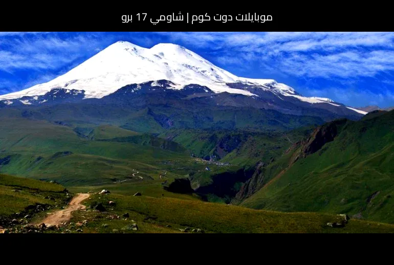 شاومي 17 برو: تسريبات وتوقعات المواصفات قبل الإطلاق