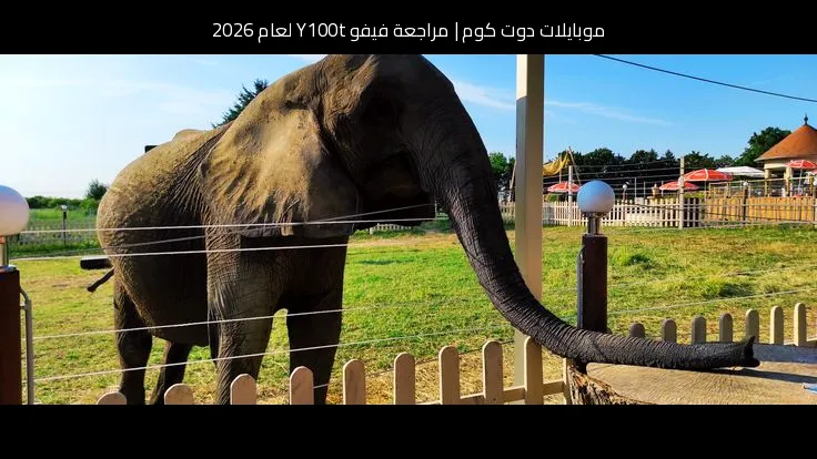مراجعة فيفو Y100t لعام 2026: هل يستحق الشراء؟